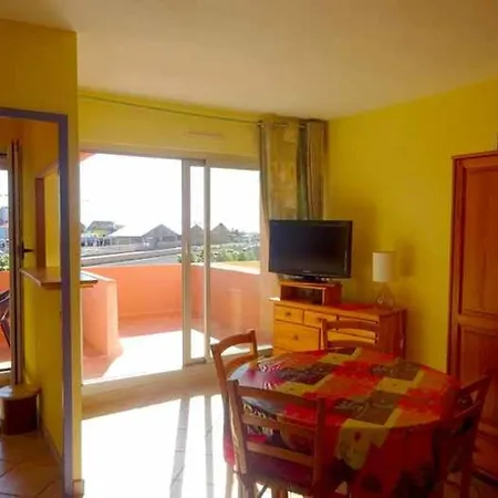 Climatise Avec Terrasse Et Parking A 100m De La - Fr-1-782-45 *